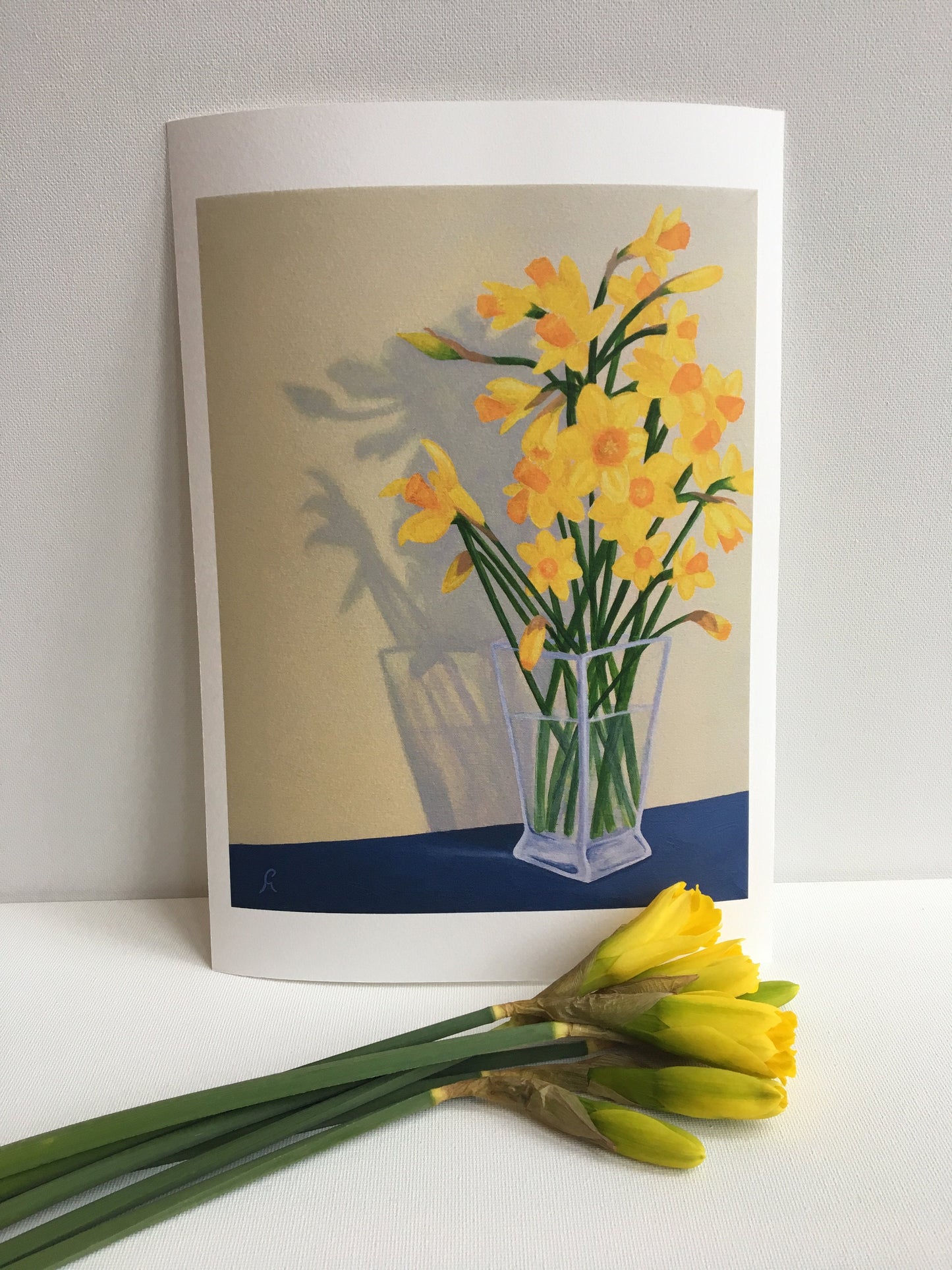 Welsh Daffodil Dragon Gicleé A4 Limited Edition Print Floral