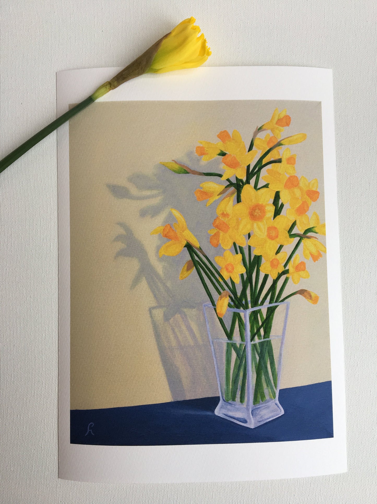 Welsh Daffodil Dragon Gicleé A4 Limited Edition Print Floral